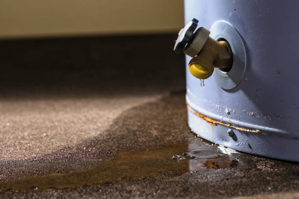 Best Emergency water damage restoration  in Cortland, OH