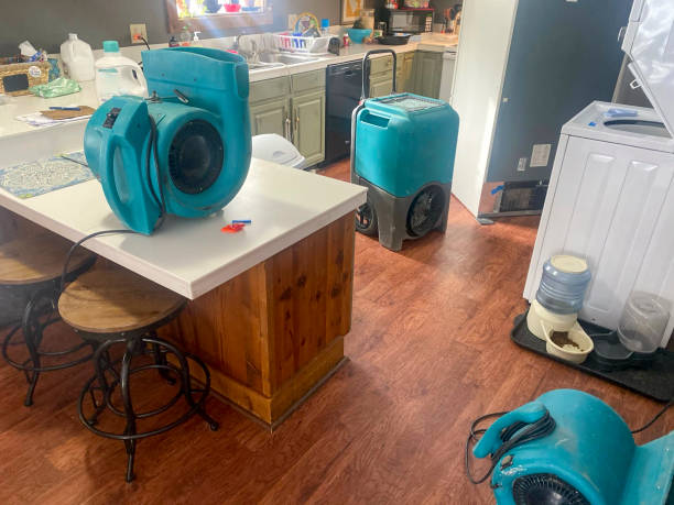 Best Commercial water damage restoration  in Cortland, OH