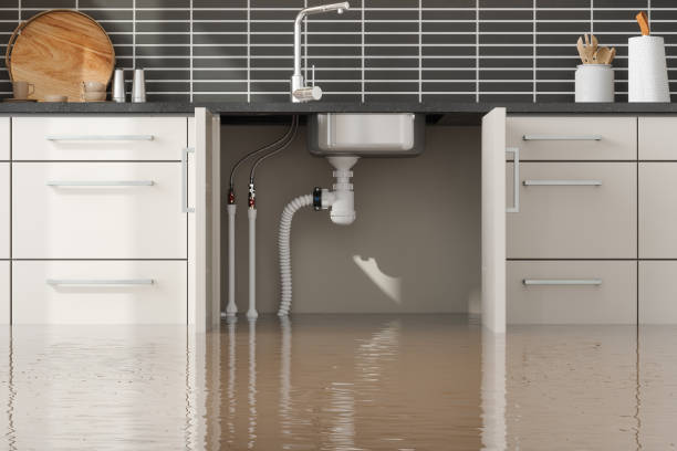 Best Water damage restoration specialists  in Cortland, OH