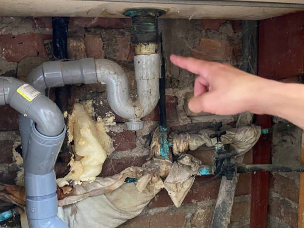 Best Carpet water damage restoration  in Cortland, OH