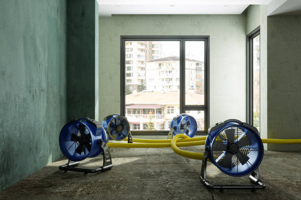 Best Flood restoration services  in Cortland, OH